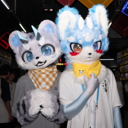 Furries