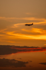 Airplane under sunset