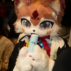 Furries